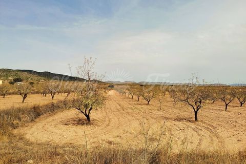 Helårsgrund i Raspay, Murcia, Raspay - € 65.000 | Ref: SF0353 - foto 2
